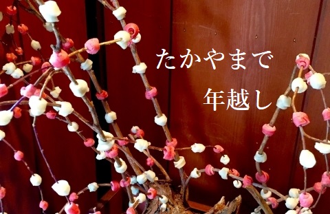 takayama２