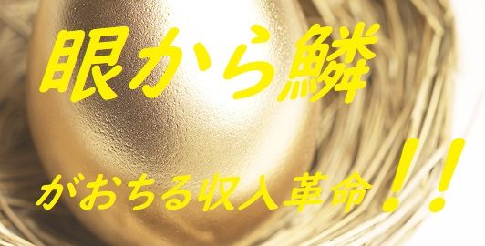 眼から鱗の収入革命