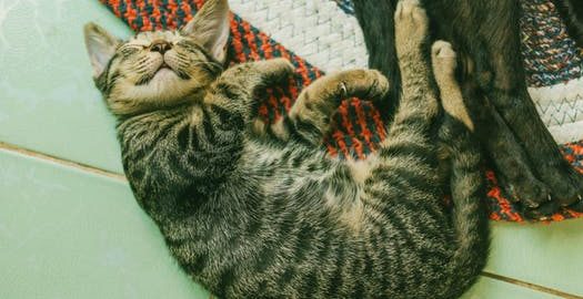 共依存のはじまるとき